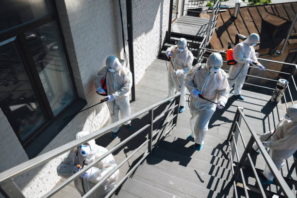  Schererville, IN Mold Removal Pros