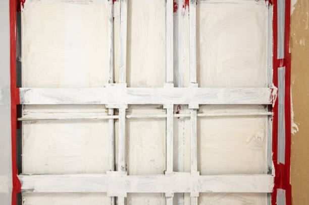 Best Commercial Mold Inspection  in Schererville, IN