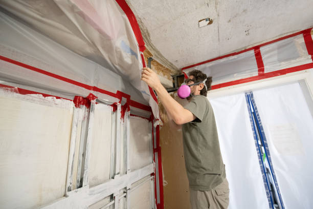 Best Mold Remediation for Healthcare Facilities  in Schererville, IN