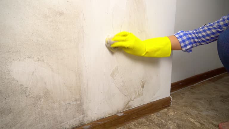 Best Forensic Mold Investigation  in Schererville, IN