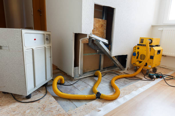 Best Mold Remediation for Rental Properties  in Schererville, IN